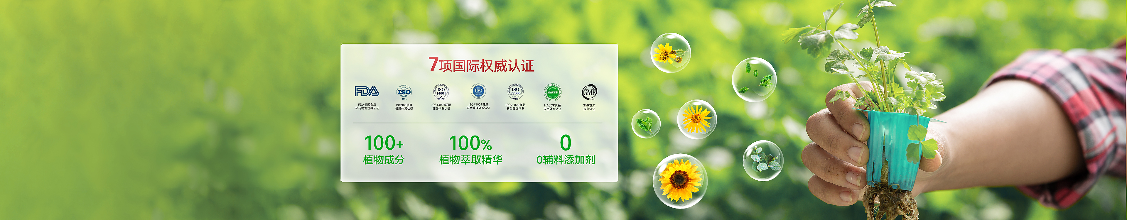 美容面罩